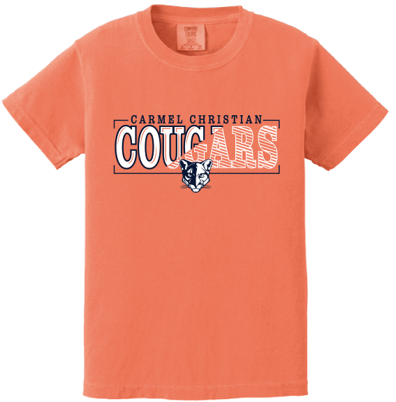 Youth comfort colors t-shirt