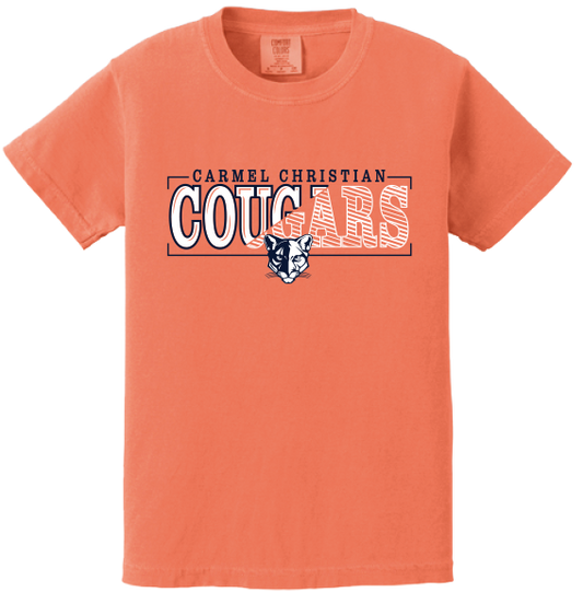 Youth comfort colors t-shirt